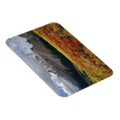 Bearberry begin herfst Athabasca Peak Magneet (Rechterzijde)