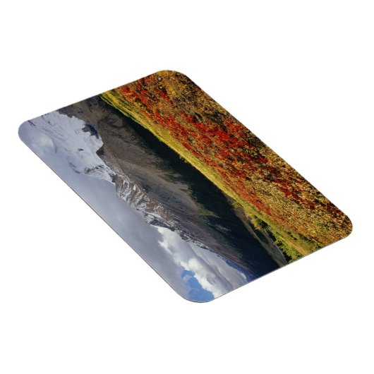 Bearberry begin herfst Athabasca Peak Magneet (Rechterzijde)