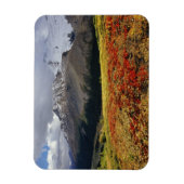 Bearberry begin herfst Athabasca Peak Magneet (Verticaal)