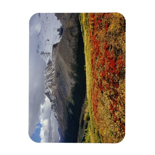 Bearberry begin herfst Athabasca Peak Magneet (Verticaal)