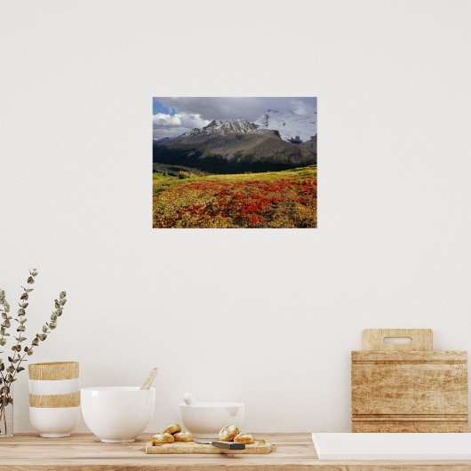 Bearberry begin herfst Athabasca Peak Poster (Keuken)