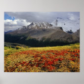 Bearberry begin herfst Athabasca Peak Poster (Voorkant)