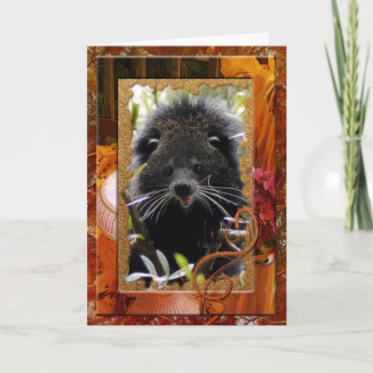 bearcat-16 kaart (Voorkant)