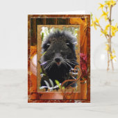 bearcat-16 kaart (Gele Bloem)