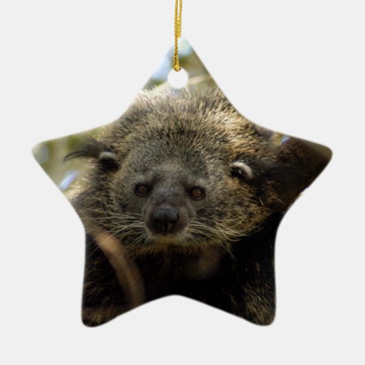 Bearcat-kerstversiering Keramisch Ornament (Voorkant)
