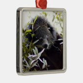 Bearcat-kerstversiering Metalen Ornament (Rechts)