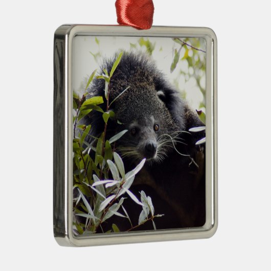 Bearcat-kerstversiering Metalen Ornament (Rechts)