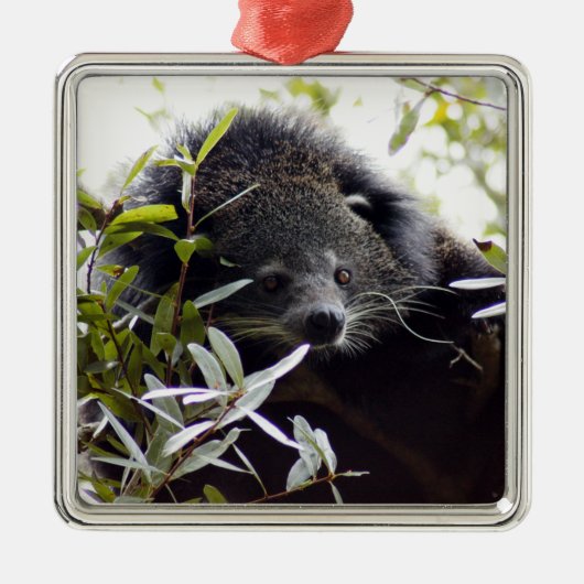 Bearcat-kerstversiering Metalen Ornament (Voorkant)