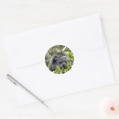 Bearcat-Stickers Ronde Sticker (Envelop)
