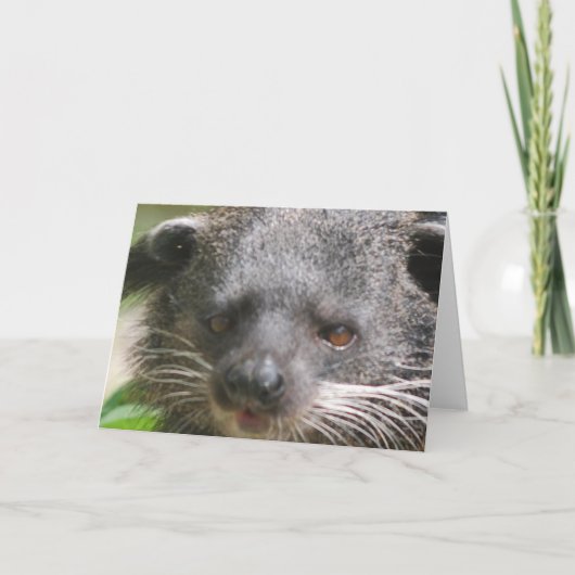 Bearcat-Wenskaart Kaart (Voorkant)