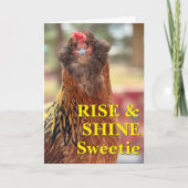 Bearded Chicken Close-Up Photograph Kaart (Voorkant)
