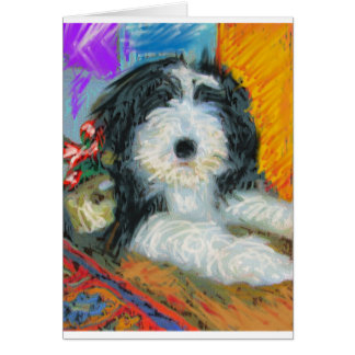 Bearded Collie
