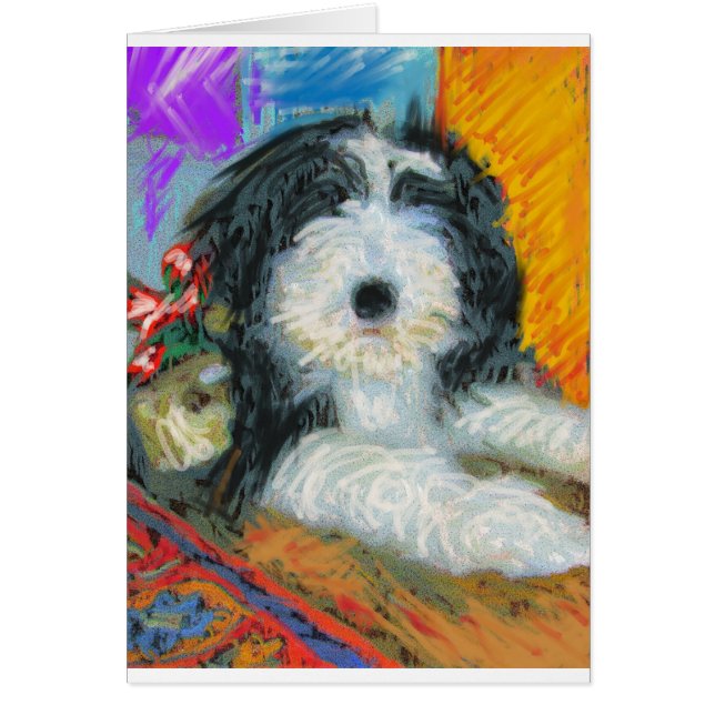 Bearded Collie (Voorkant)