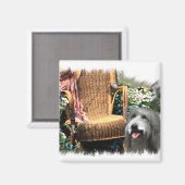 Bearded Collie Art Gifts Magneet (Voorkant / Achterkant)