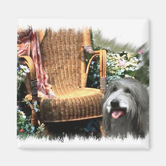 Bearded Collie Art Gifts Magneet (Voorkant)
