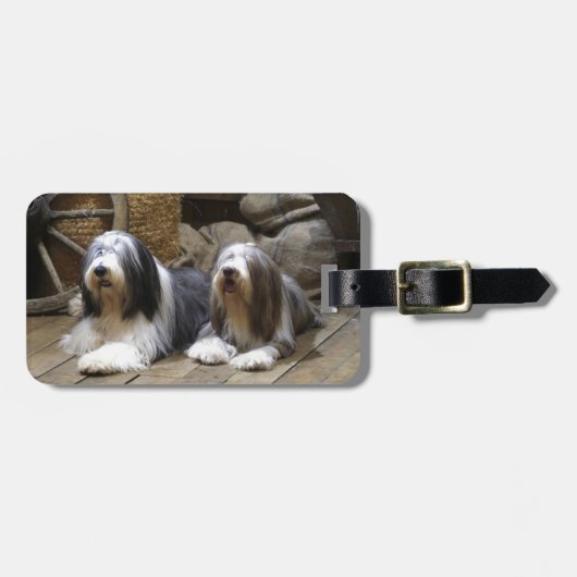 Bearded Collie Bagagelabel (Voorkant horizontaal)