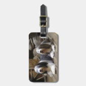 Bearded Collie Bagagelabel (Voorkant verticaal)