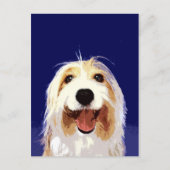 Bearded Collie Briefkaart (Voorkant)
