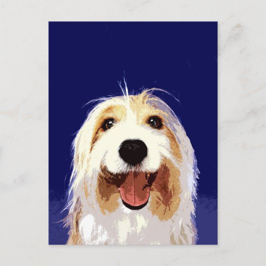 Bearded Collie Briefkaart (Voorkant)