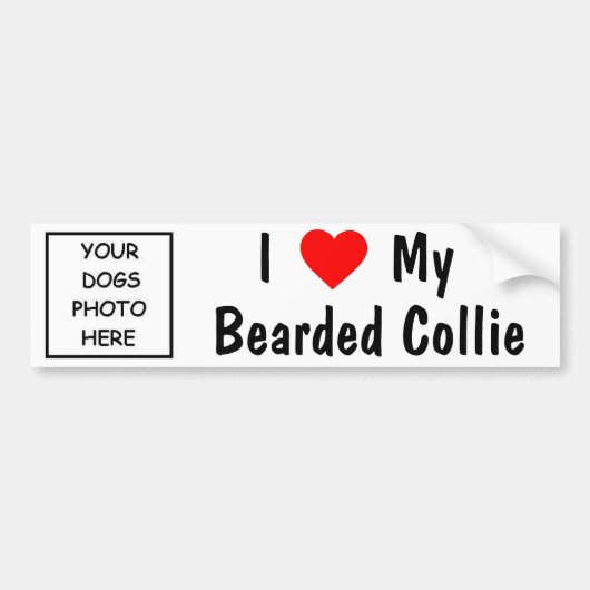 Bearded Collie Bumpersticker (Voorkant)