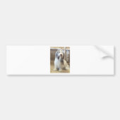 Bearded Collie Bumpersticker (Voorkant)