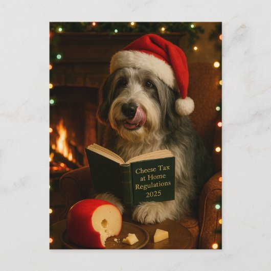 Bearded collie 'Cheese Tax' Christmas postcard Briefkaart (Voorkant)