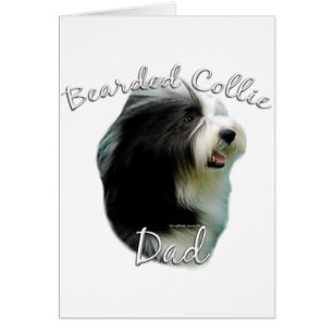Bearded Collie Dad 2