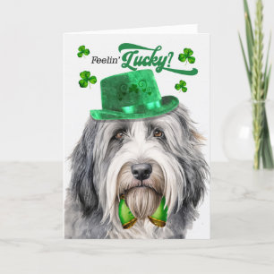Bearded Collie Dog Lucky St Patrick's Day Feestdagen Kaart