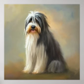 Bearded Collie Dog Poster (Voorkant)