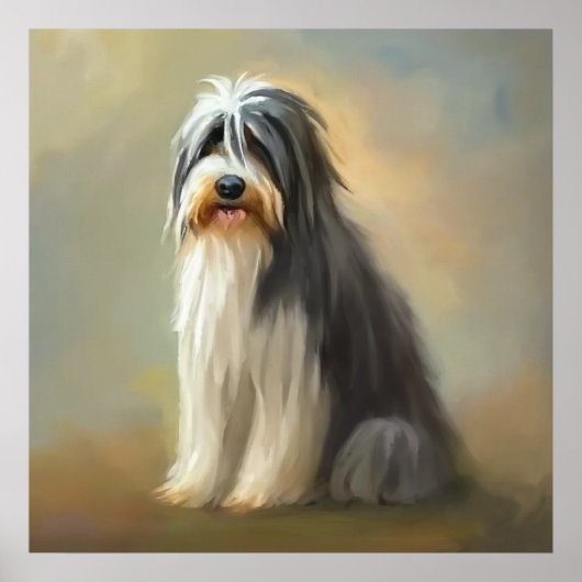 Bearded Collie Dog Poster (Voorkant)