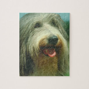 Bearded Collie Dog Puzzle Legpuzzel