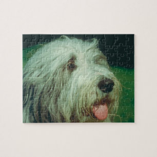 Bearded Collie Dog Puzzle Legpuzzel