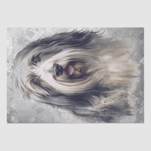 Bearded Collie Dog Tissuepapier (Voorkant)