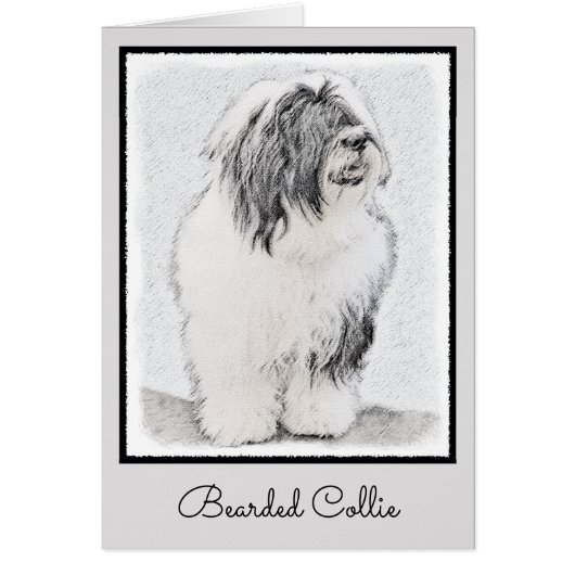 Bearded Collie Drawing - Cute Original Dog Art (Voorkant)
