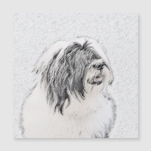 Bearded Collie Drawing - Cute Original Dog Art