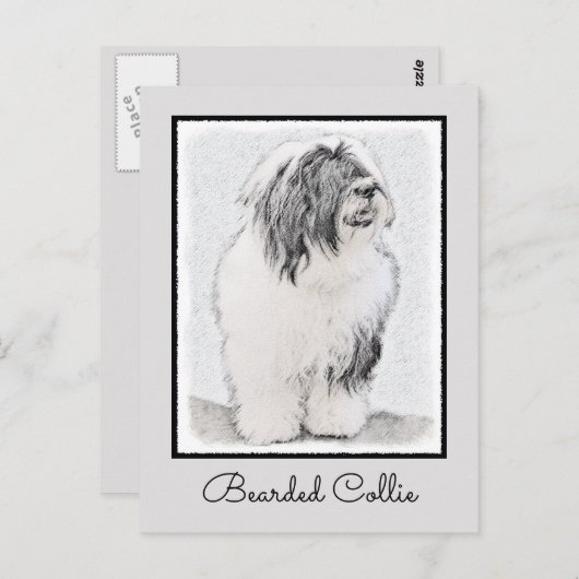 Bearded Collie Drawing - Cute Original Dog Art Briefkaart (Voorkant / Achterkant)