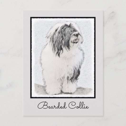 Bearded Collie Drawing - Cute Original Dog Art Briefkaart (Voorkant)