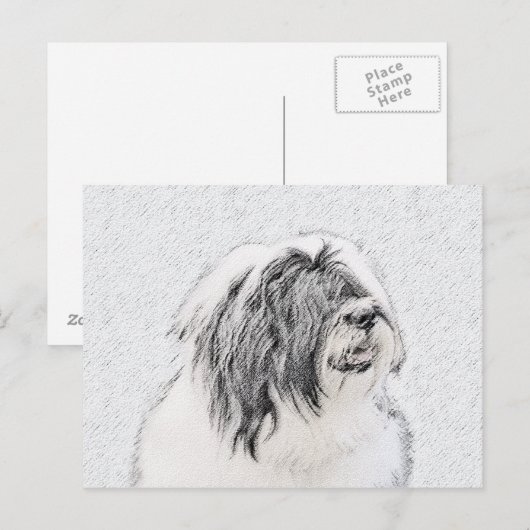 Bearded Collie Drawing - Cute Original Dog Art Briefkaart (Voorkant / Achterkant)