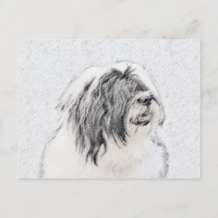 Bearded Collie Drawing - Cute Original Dog Art Briefkaart