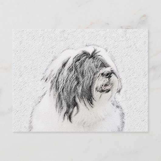 Bearded Collie Drawing - Cute Original Dog Art Briefkaart (Voorkant)