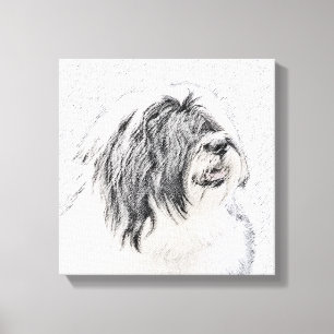 Bearded Collie Drawing - Cute Original Dog Art Canvas Afdruk