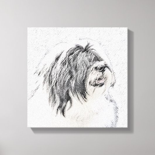 Bearded Collie Drawing - Cute Original Dog Art Canvas Afdruk (Voorkant)