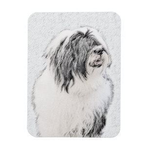Bearded Collie Drawing - Cute Original Dog Art Magneet