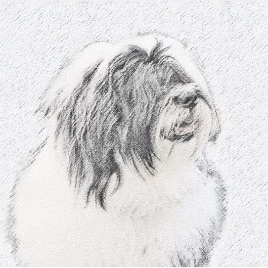 Bearded Collie Drawing - Cute Original Dog Art Sticker (Voorkant)