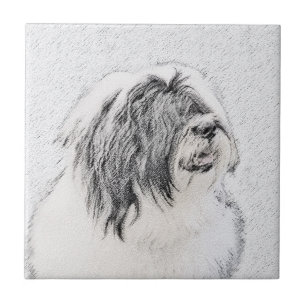 Bearded Collie Drawing - Cute Original Dog Art Tegeltje