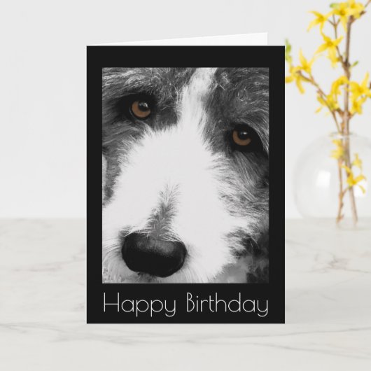 Bearded Collie Eyes Verjaardag Kaart (Gele Bloem)