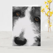 Bearded Collie Eyes Wenskaart Kaart (Gele Bloem)