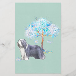 Bearded Collie Flyer