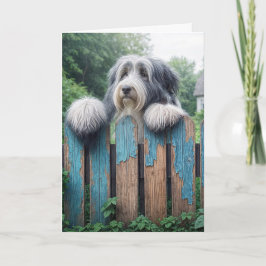 Bearded Collie Gelukkige Verjaardag Kaart