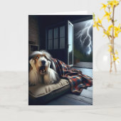 Bearded Collie Getting Old Birthday Humor Kaart (Gele Bloem)